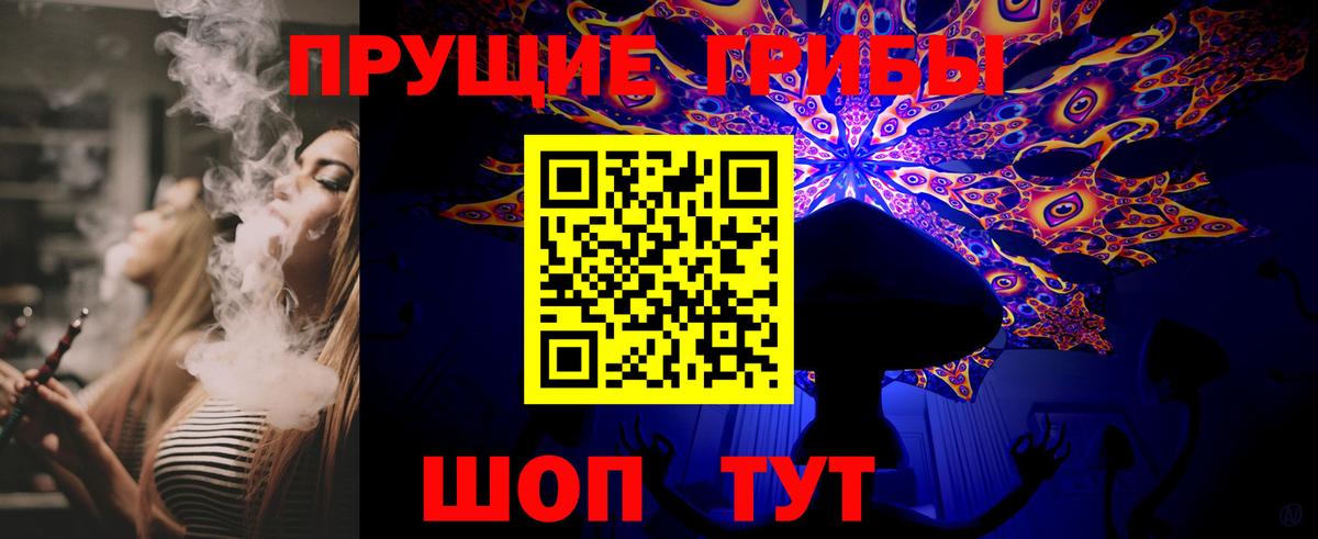 Псилоцибиновые грибы Psilocybine cubensis Гулькевичи